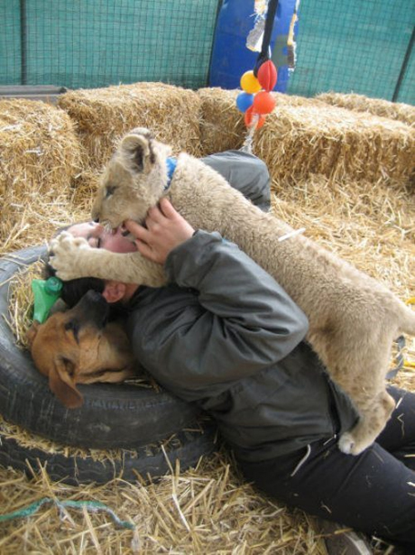 You will never see a petting zoo like this in the United States (38